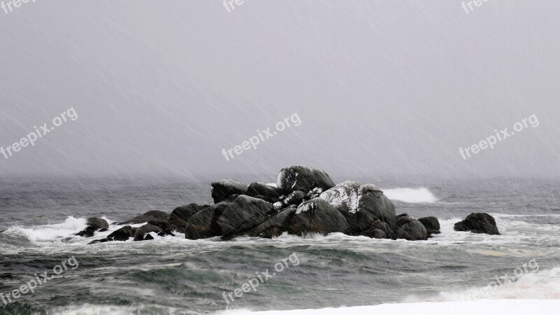 Nature Dawn Sea Beach Coastal