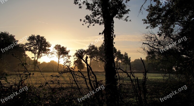 Nature Tree Dawn Sunset Panoramic