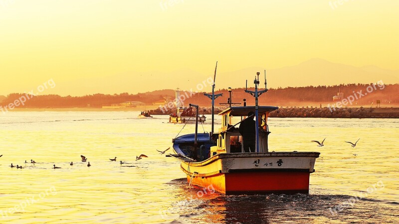 Sea Ship Dawn Gangneung Seagull