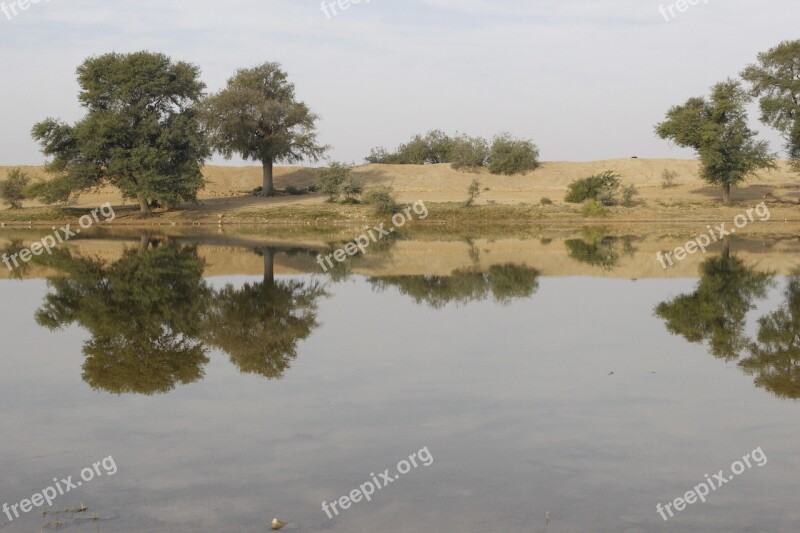 Nature River Wood Scenery Oasis