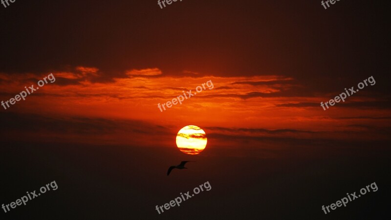 Sunrise Morning Gangneung Gyeongpo Beach Free Photos