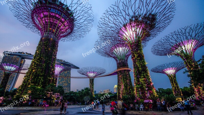 Garden By The Bay Singapore Night Lighting Landmark