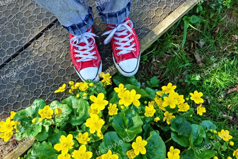 Foot Shoe Sneaker Woman's Foot Woman's Shoe