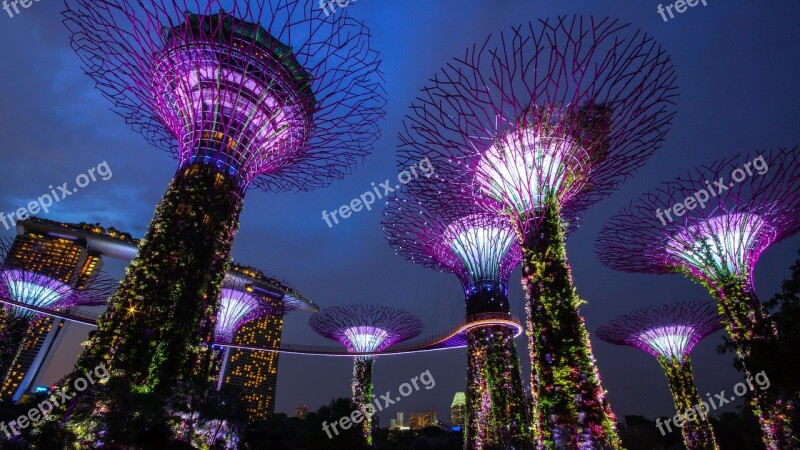 Garden By The Bay Singapore Night Lighting Landmark