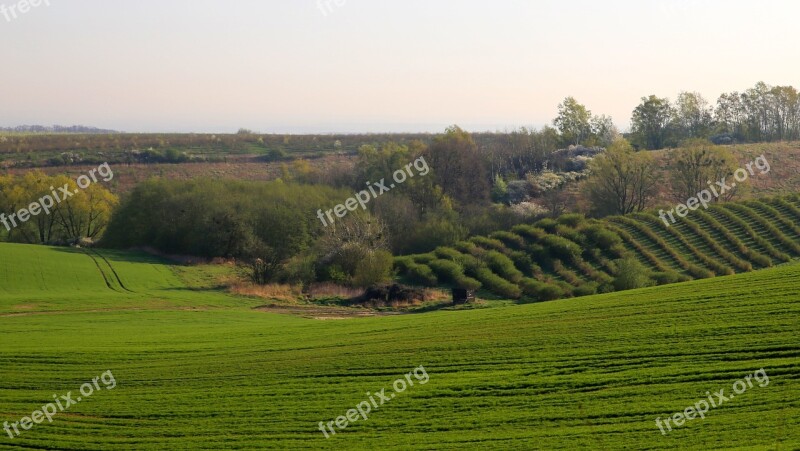 Mati Nature Landscape Field Tree