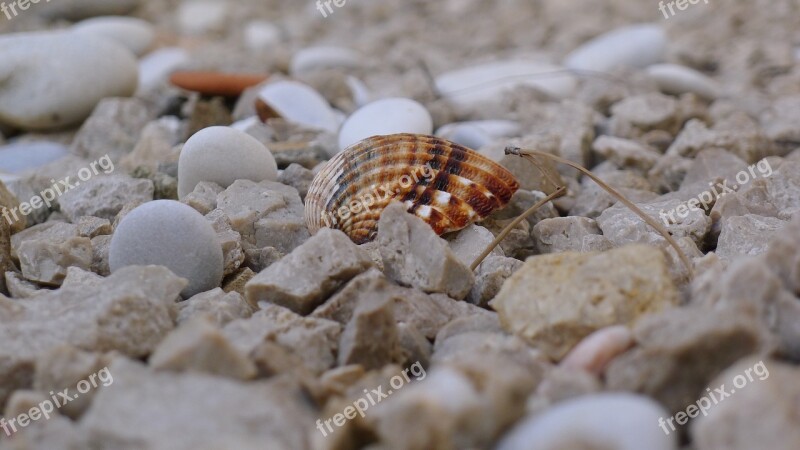 Nature Stone Sea Pattern Desktop Background