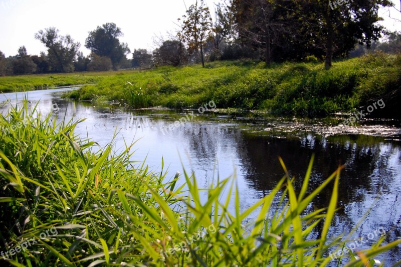 Waters Nature River Reflection Grass