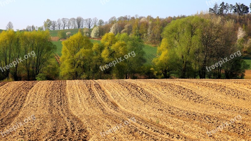 Nature Landscape Field Tree Village