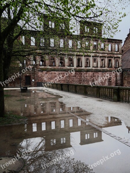 Heidelberg Castle Neckar Swim Würtemberg