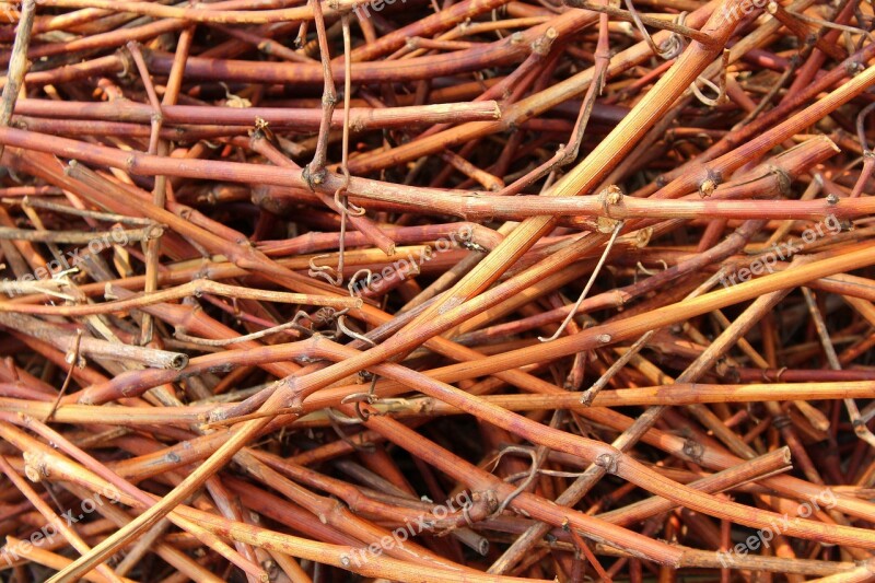 Sticks Dry Spring Cleaning Nature Model