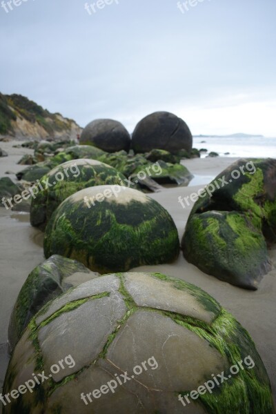 Nature Moeraki Boulders New Zealand Beach