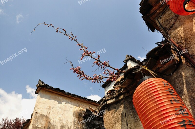 Sky Tree Outdoor Tourism Hongcun Village