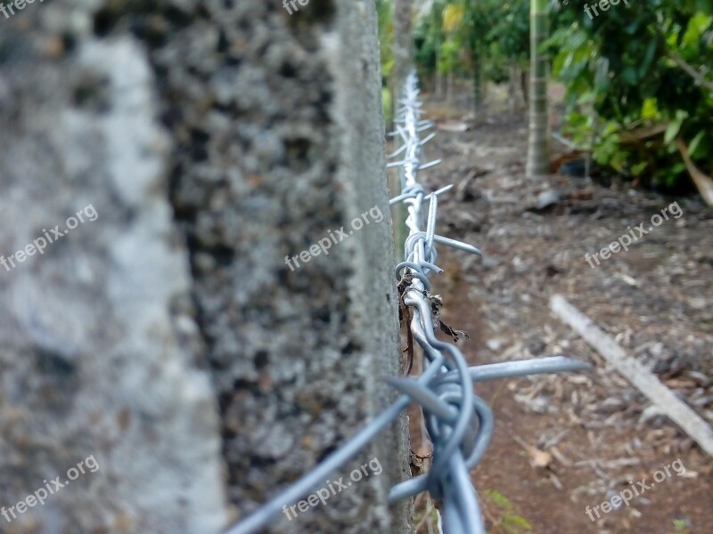 Leak Barbed Wire Free Photos