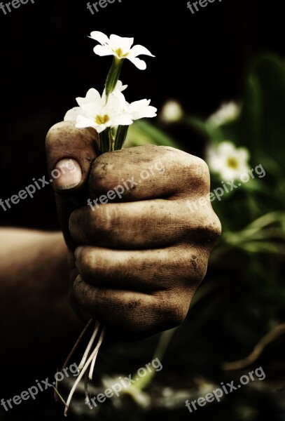 Thank You Flower Plant Human Hand