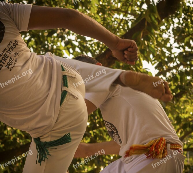 Martial Art Sport Popular Culture Free Photos