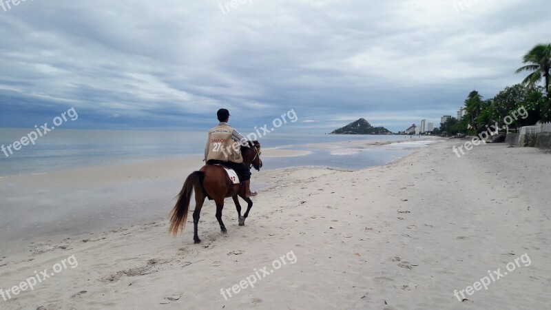 Horse Riding In Hua Hin Hua Hin Beach Sea Hua Hin Tour