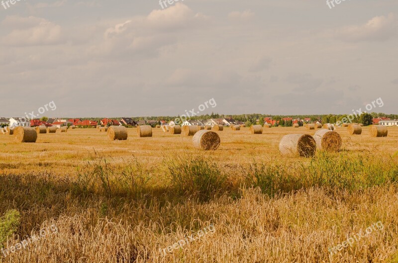 Field Farm Hay Landscape Straw