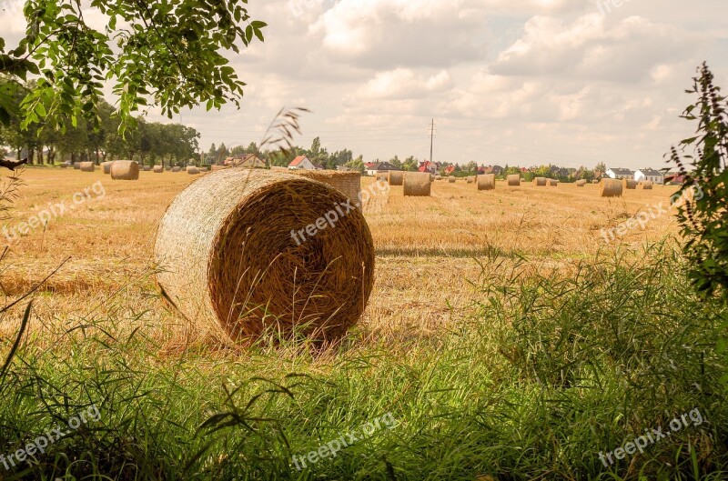 Field Farm Hay Landscape Straw