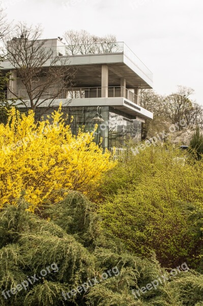 Tree Nature At The Court Of Season House