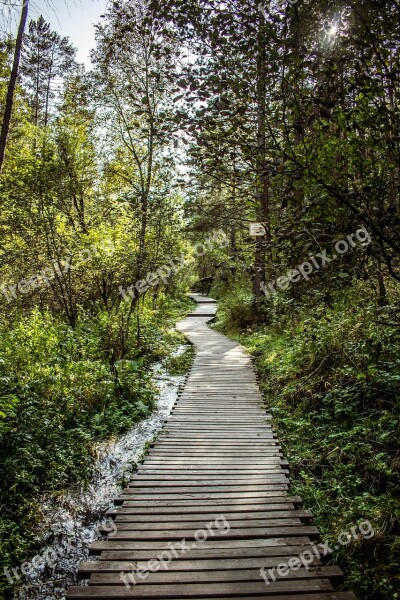 Wood Nature Tree Direction Landscape