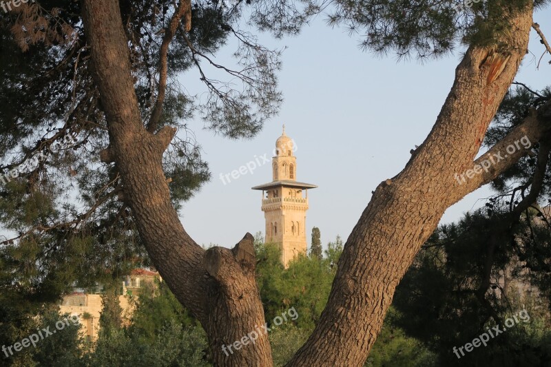 Tree On Religion Nature Minaret