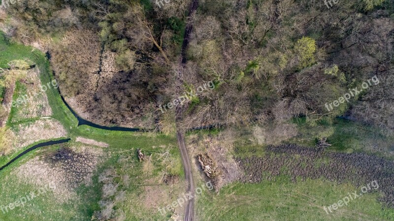 Nature Tree Landscape Spring Drone