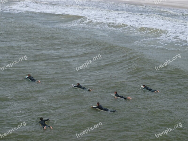 Water Sea Nature Ocean Bird