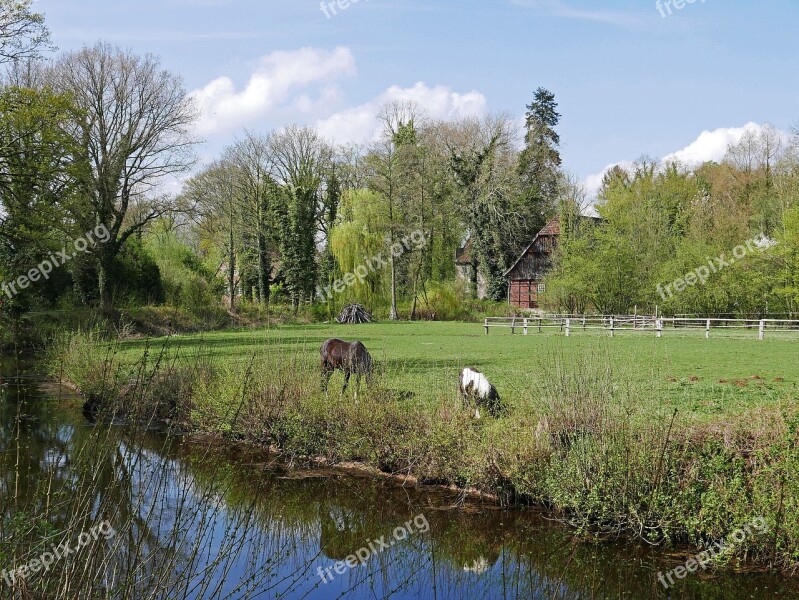 Pasture Coupling Old Farm Horse Attitude Waters