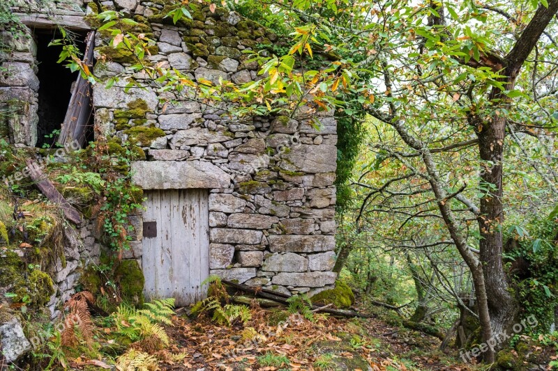 Wood Nature Stone Tree Old