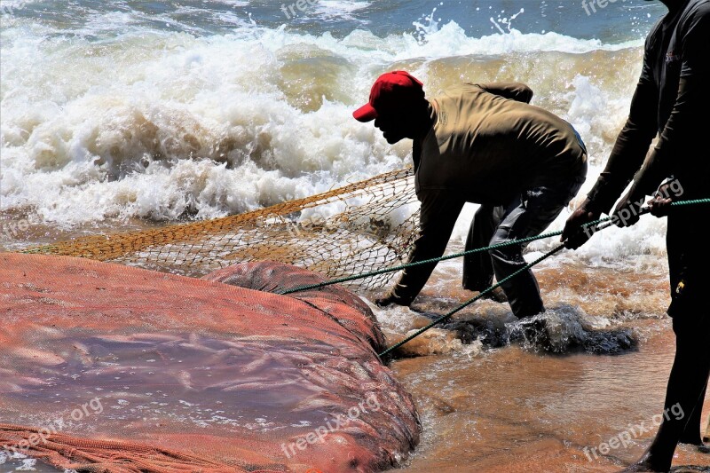 In The Water Ocean The Fisherman Network Fish