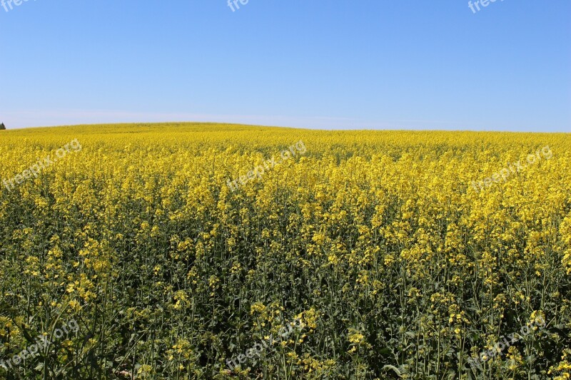 Agrofirm Field Harvest Farm Landscape