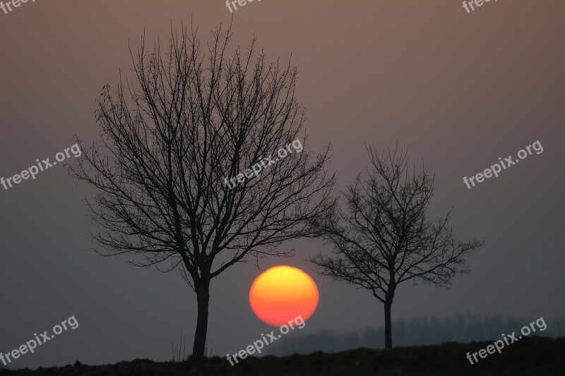 Sunset Giant Dawn Nature Sun