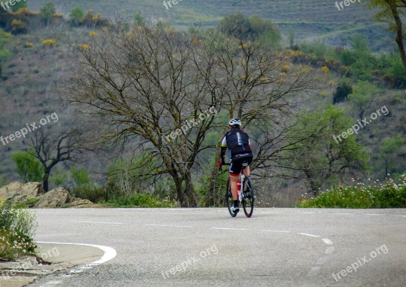 Cyclist Competition Bicycle Man Athlete