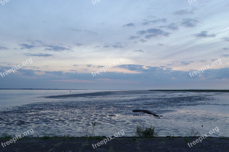 Wadden Sea Waters Sea Nature Panorama