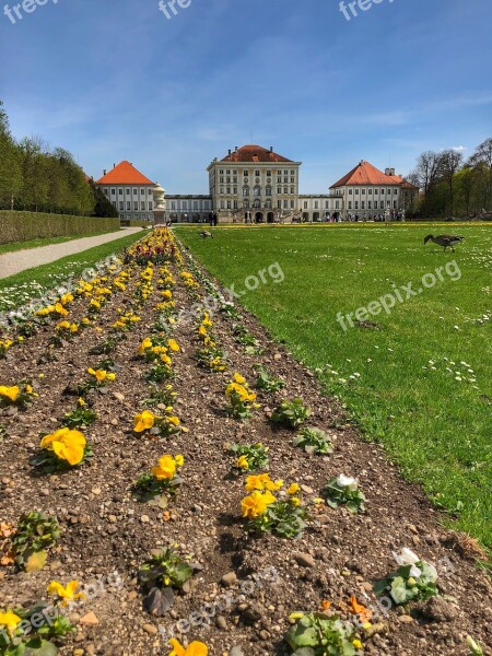 Flower Garden Grass Nature Plant