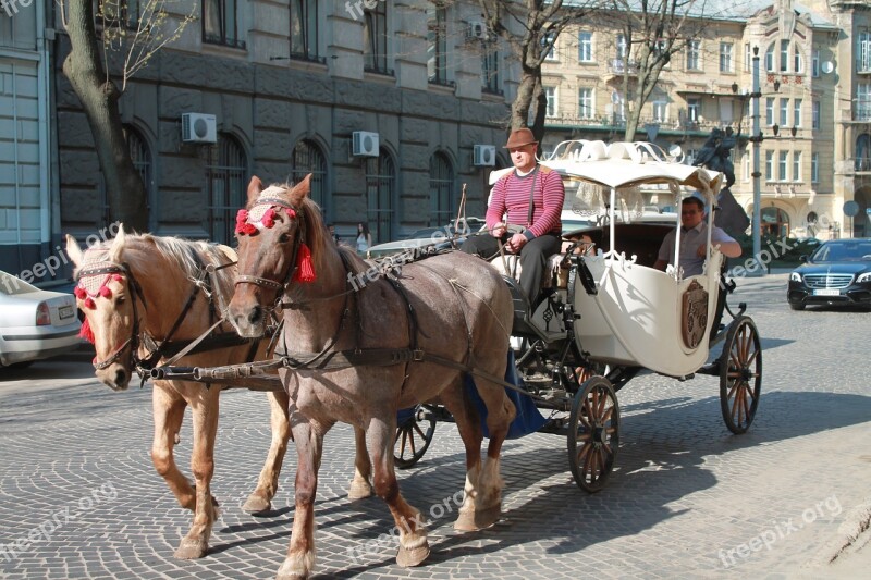 Street People Megalopolis Coach Horse