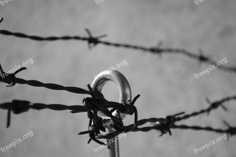 Barbed Wire Security Prison Wire Fence