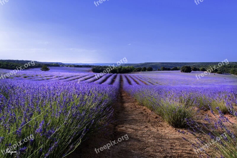 Nature Landscape Open Air Flower Free Photos