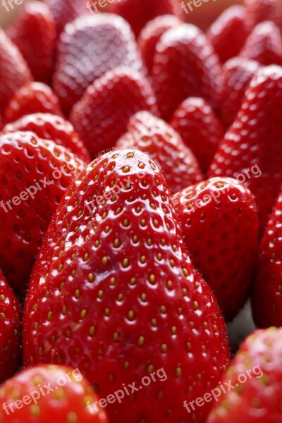 Fruit Strawberry Berry Food Dessert