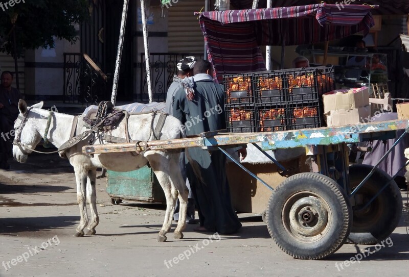 Egypt Aswan Van Moke Drawn