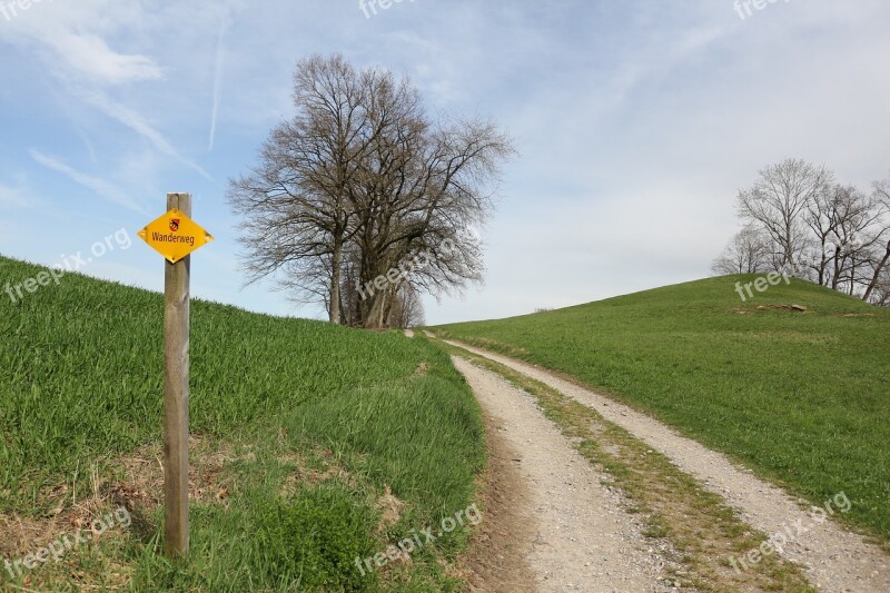 Grass Road Nature Landscape Tree