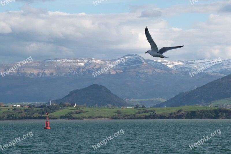 Santander Water Nature Sea Free Photos