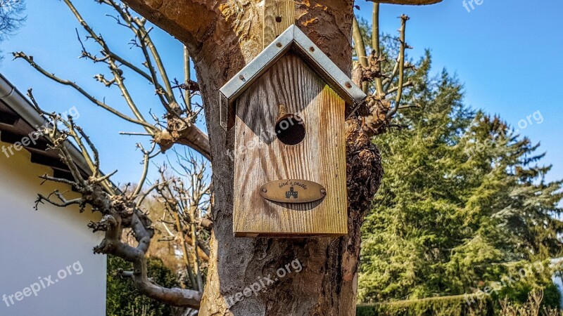 Tree Bird Feeder Wood Nature Free Photos