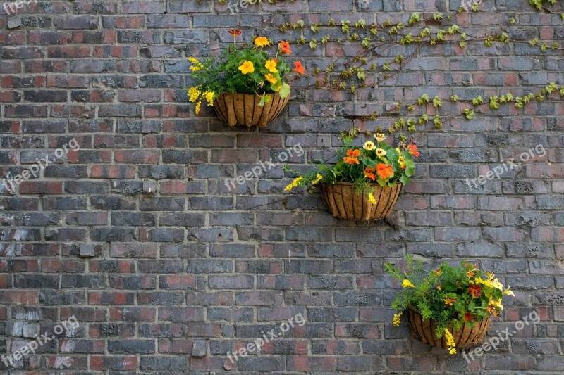 Brick Wall Stone Potted Plant Plants