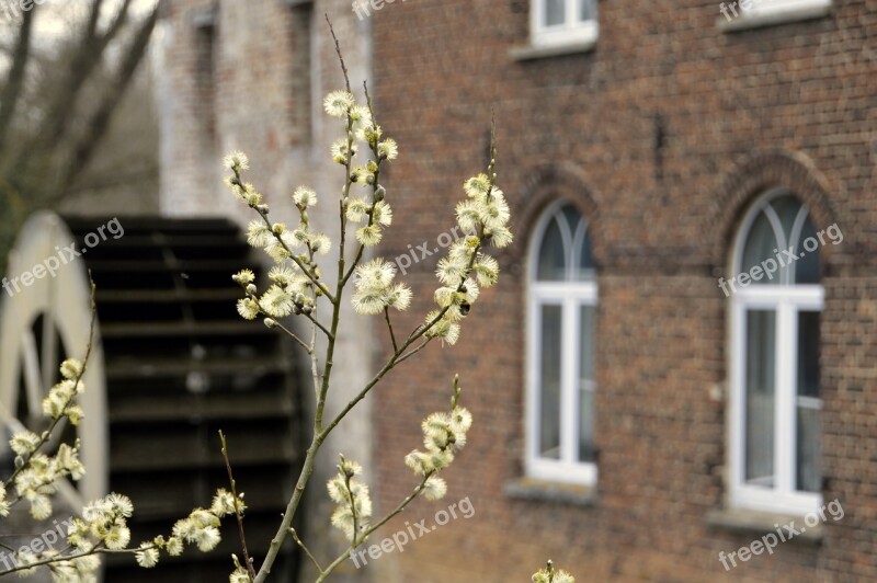 House Window Architecture Family Outdoor