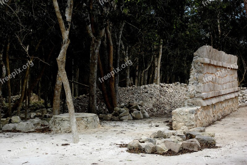 Nature Tree Wood Stone Outdoors