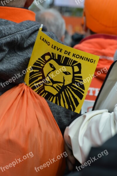 People Festival Flag Orange Lion