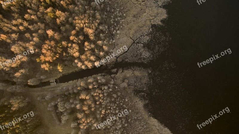 Desktop Nature Forest River Drone