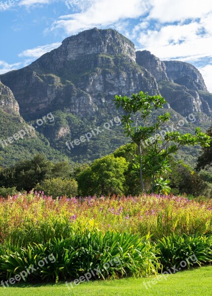 Kirstenbosch Botanical Garden Mountain Clouds Landscape Nature