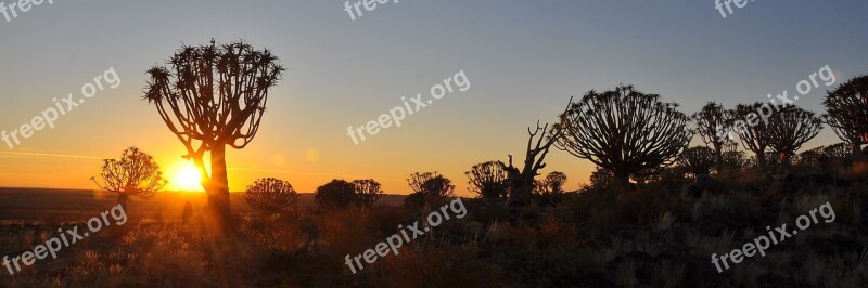 Sunset Dawn Nature Sky Sun